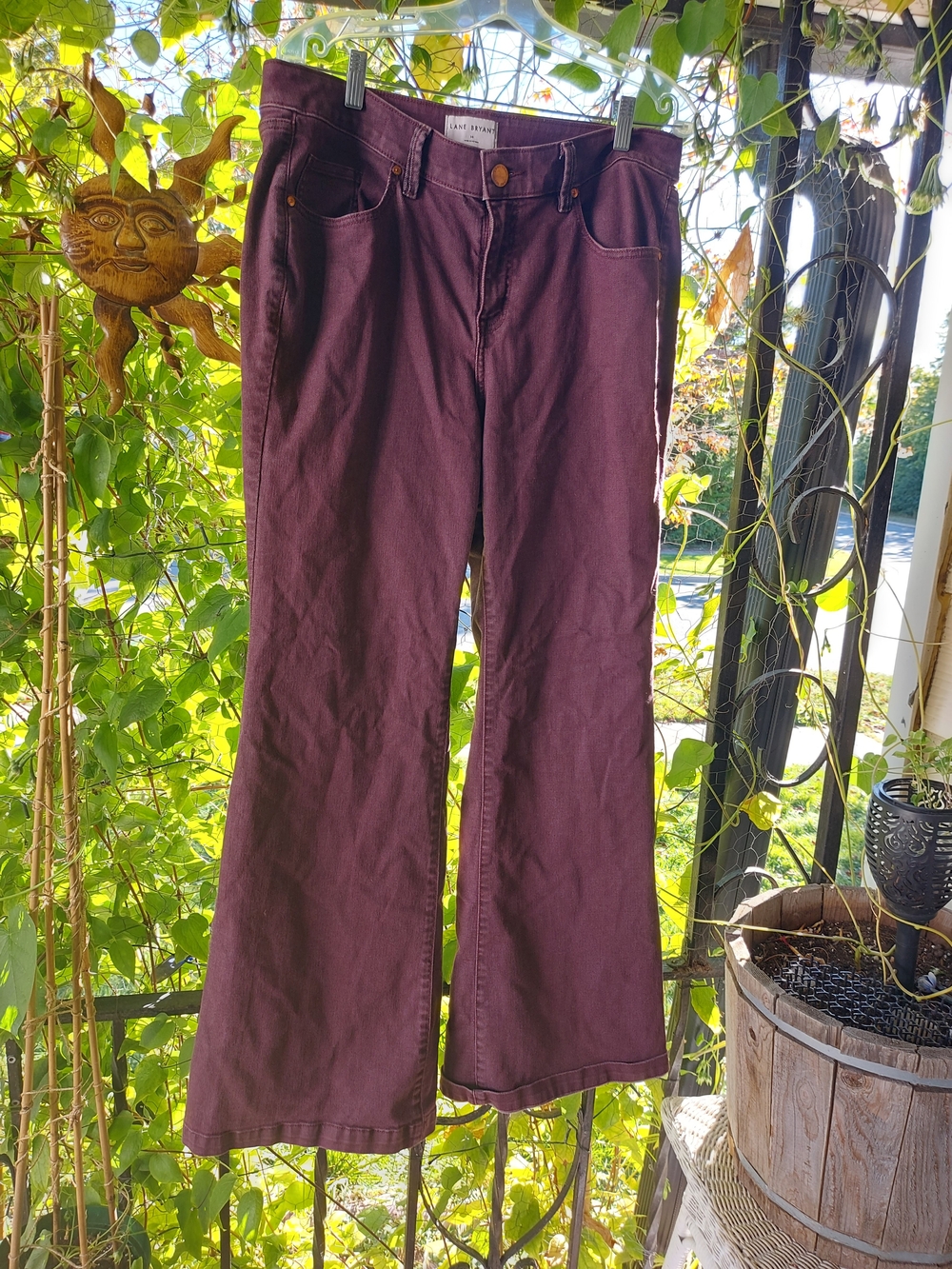 Lane Bryant “Merlot Magic” Bell Bottoms 🍷 — Size 14